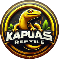 #kapuasreptile